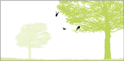 木 鳥 イメージ